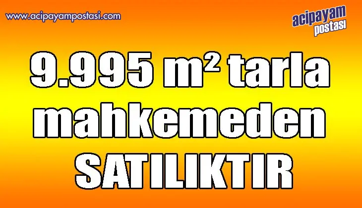 9.995 m² tarla
                    mahkemeden satılıktır