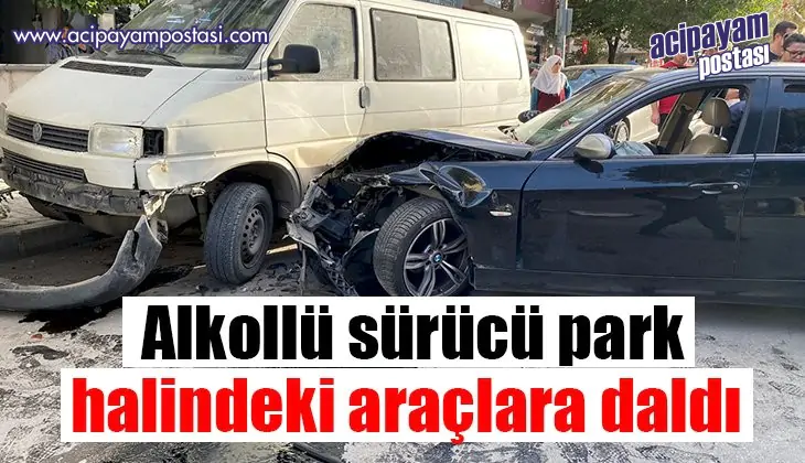 Alkollü sürücü park halindeki araçlara
                    daldı