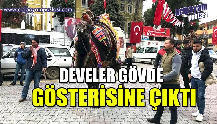 Develer gövde
                    gösterisi yaptı