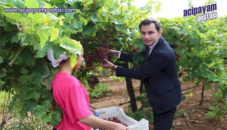 Kaymakam
                    Çanga’dan bağ bozumu
                    ziyareti